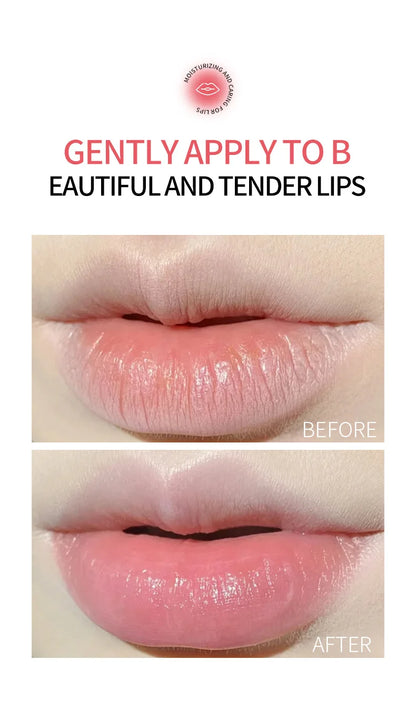 8pcs/box Fruits Lip Balm Sets Moisturizing Lipstick Makeup Base Moisturizer Lip Balm Anti-Cracking Lips Skin Care