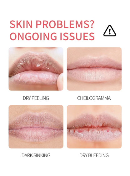 8pcs/box Fruits Lip Balm Sets Moisturizing Lipstick Makeup Base Moisturizer Lip Balm Anti-Cracking Lips Skin Care